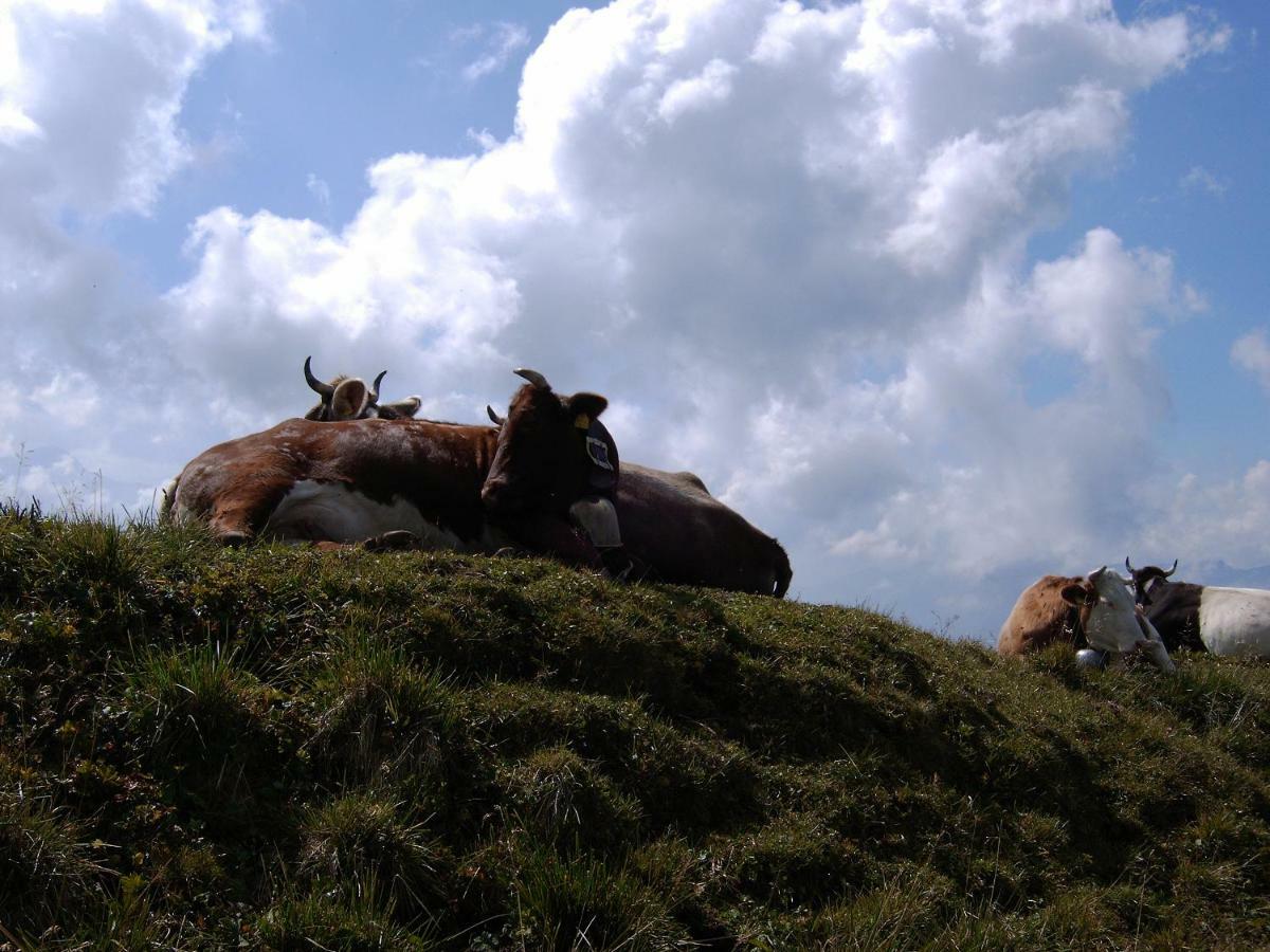 Allgaeu Haus Isny im Allgäu Buitenkant foto